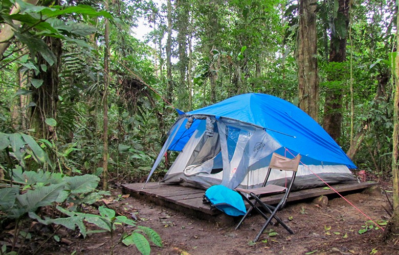 amazon jungle camp