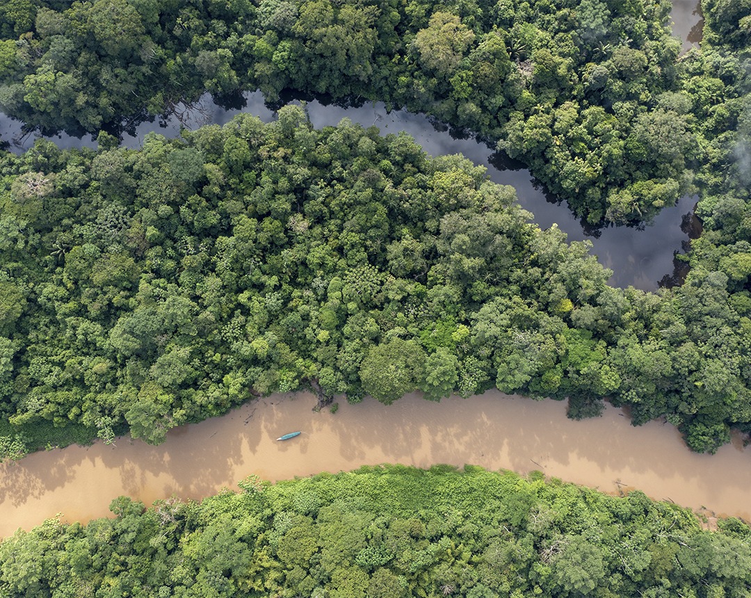 amazon-rainforest-river
